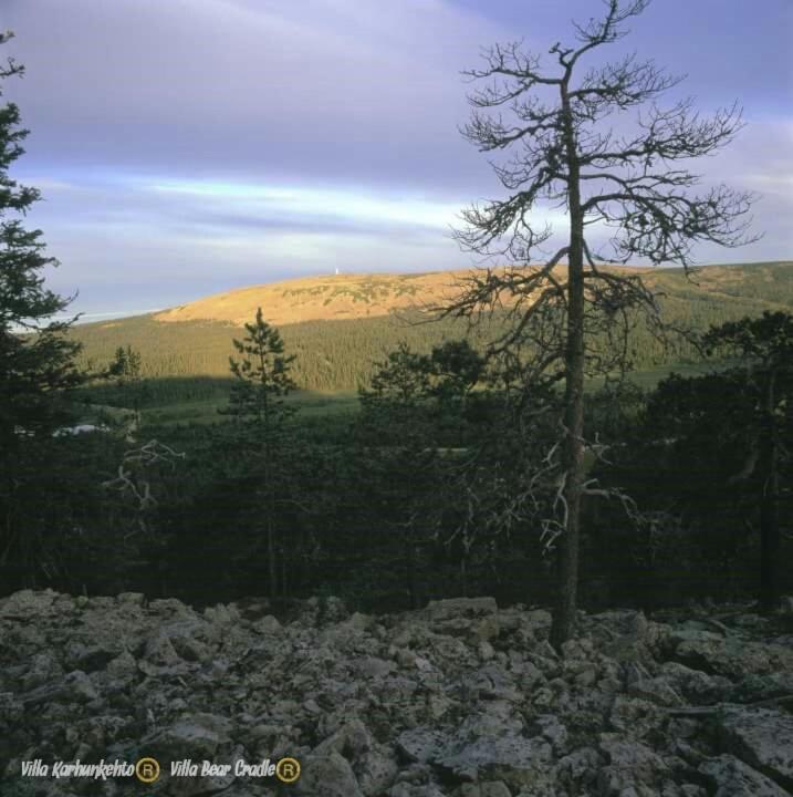 Villa Karhunkehto Luosto Exteriér fotografie