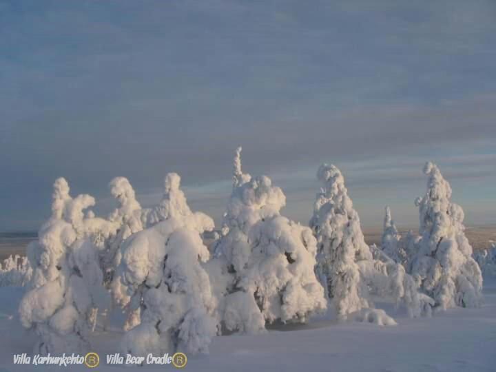Villa Karhunkehto Luosto Exteriér fotografie
