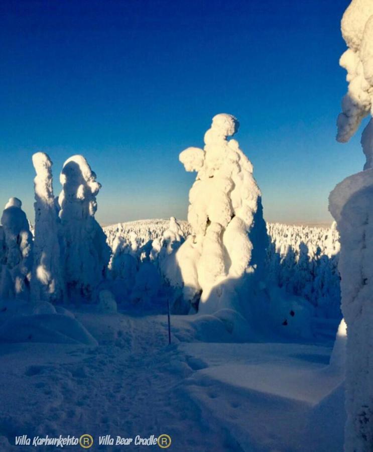 Villa Karhunkehto Luosto Exteriér fotografie