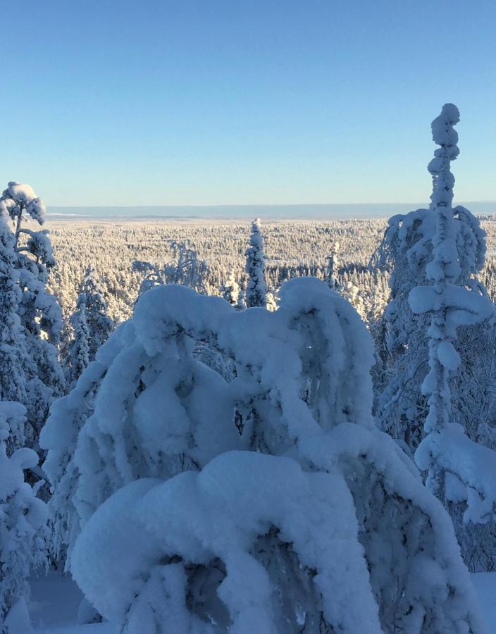 Villa Karhunkehto Luosto Exteriér fotografie