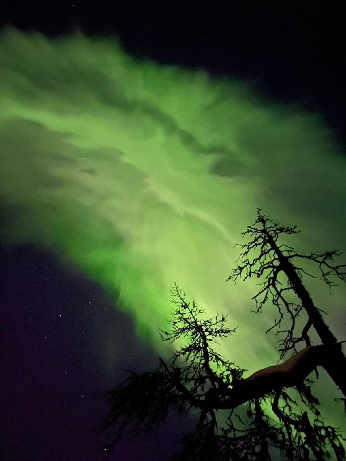 Villa Karhunkehto Luosto Exteriér fotografie