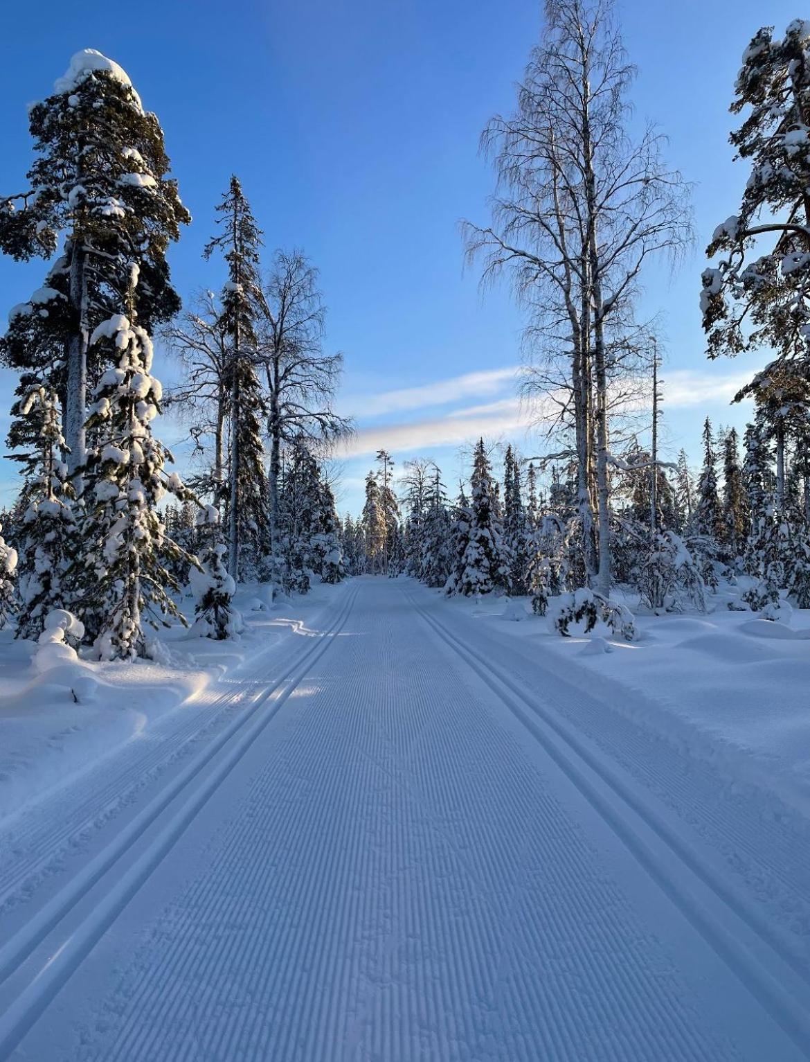 Villa Karhunkehto Luosto Exteriér fotografie