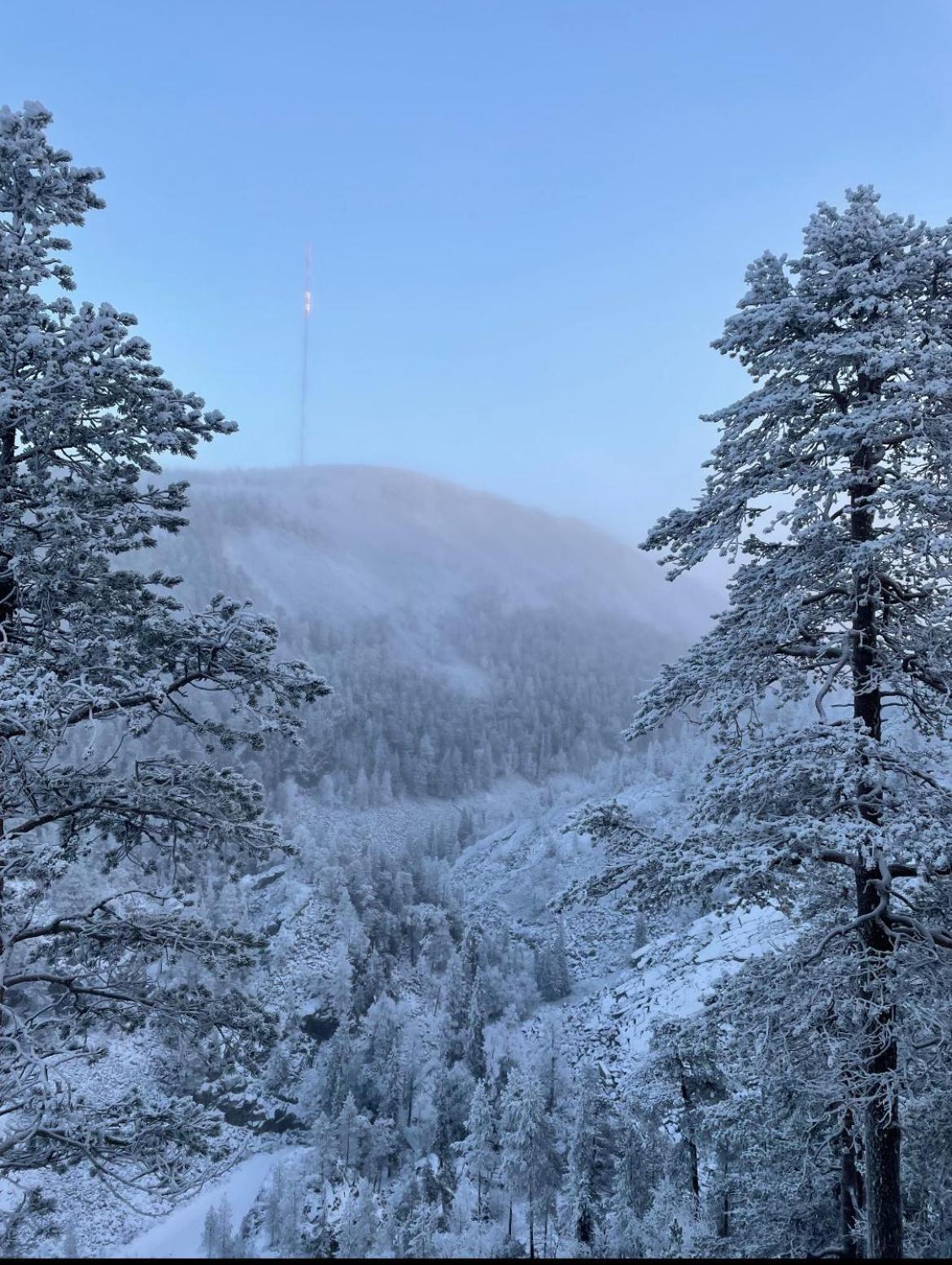Villa Karhunkehto Luosto Exteriér fotografie
